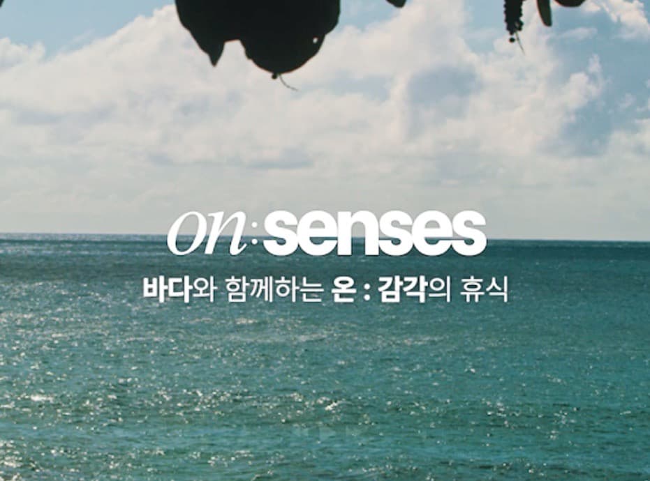 스누젤렌 영상