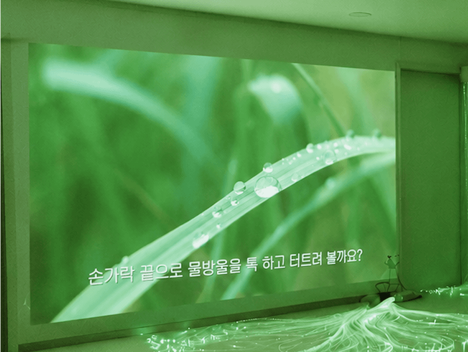 스누젤렌 영상